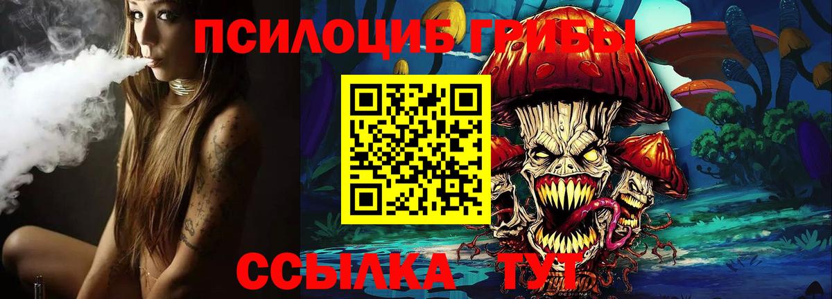 Обнинск  Псилоцибиновые грибы GOLDEN TEACHER  Галлюциногенные грибы прущие грибы  Вход с VPN 