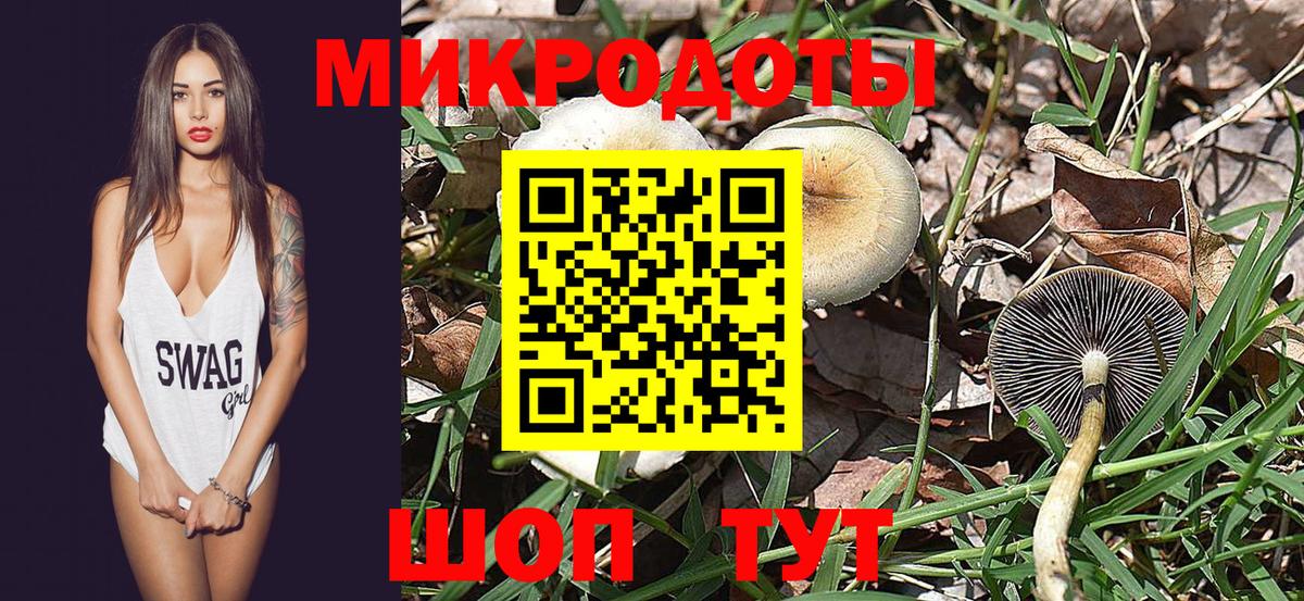 Псилоцибиновые грибы мицелий Обнинск
